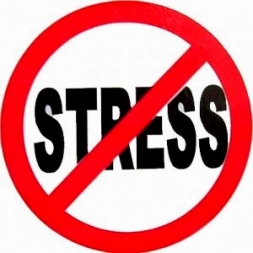 غول استرس و بررسی راه های کاهش استرس در فرد
